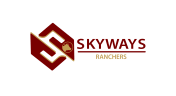 Skyways